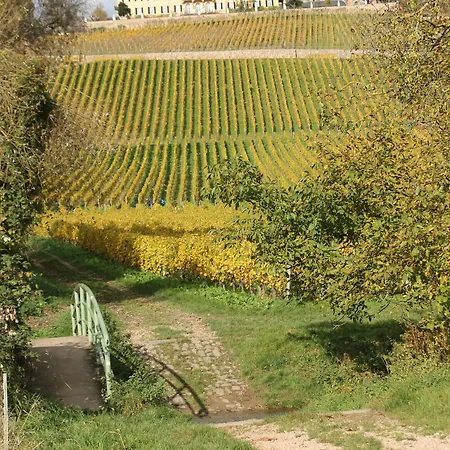 Gaestehaus Strieth Эстрих-Винкель